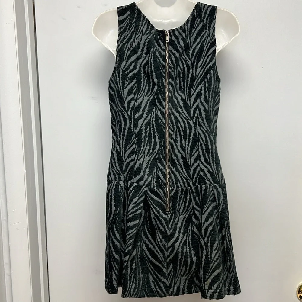 Free People Mini Fit & Flare Chenille Zebra Print Drop Waist Dress Size 4